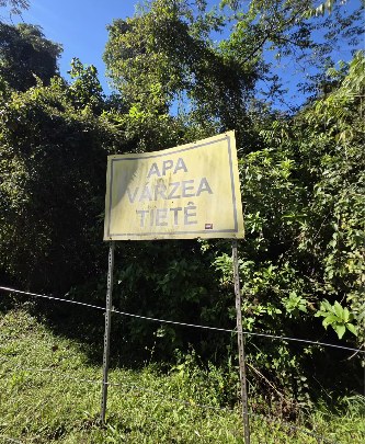 Exemplo de artigo — substitua antes de publicar