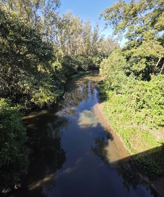 Rio cercado de vegetação no Alto Tietê